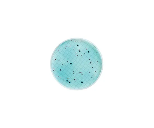 62-8362-90 m-ColiBlue24(R) Broth M00PMCB24