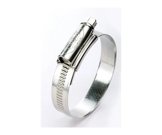 61-9580-54 ORBIT Stainless Steel Hose Clamp 60-80 3X