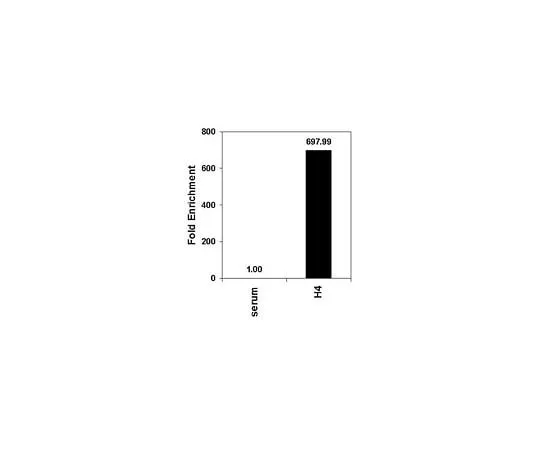 62-8382-18 Anti-acetyl-Histone H4; 200 μL 06-866