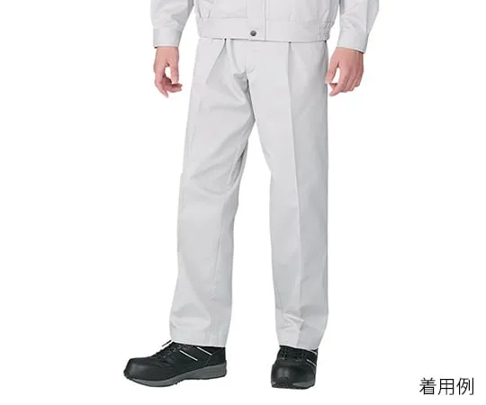 3-844-01 Two-Tuck Pants Silver 80501-036-70
