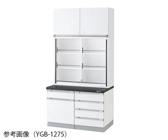 3-5775-11 Chemical Instrument Cabinet 900 x 400/750 x 2400mm YGB-975
