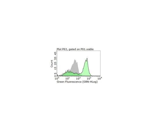 62-8464-53 Anti-MSR1/CD204 ABF114