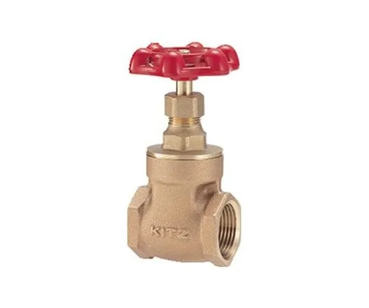 65-1889-17 General Purpose Gate Valve (S) Nominal Diameter 10 mm S10A