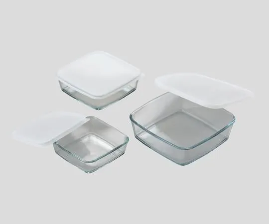 2-8618-01　［Discontinued］Heat-Resistant Glass Tray 0.5L　7486/D