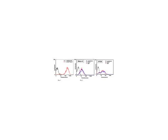 62-8502-04 Anti-Trop2, clone 2G10, Azide Free MABC519 MABC519