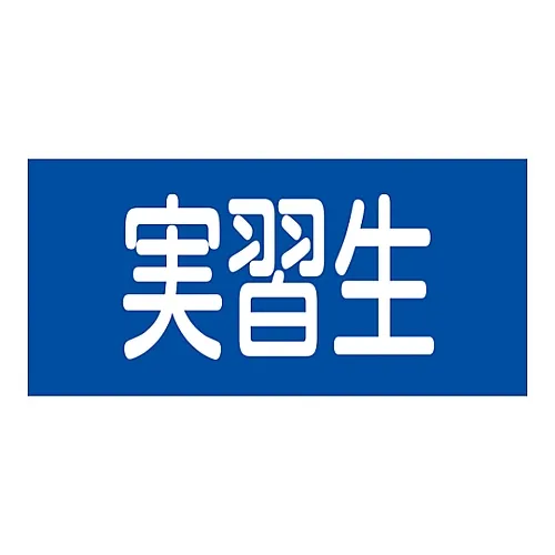 61-3430-08　［Discontinued］Rubber Armband Trainee GW-12L　139612