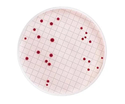 61-0194-32 M-Endo Total Coliform Dehydrated Sc-Cap Bottle 110G 1/Pk 1ST MB000000E