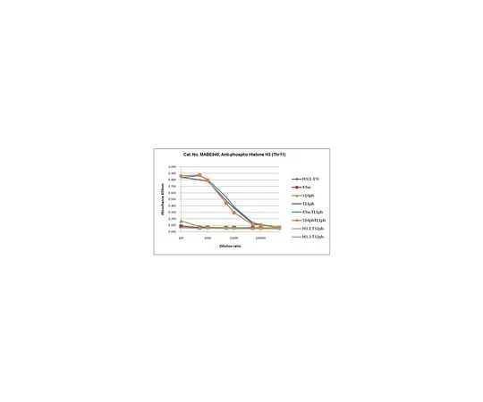 62-8507-67 Anti-phospho Histone H3 (Thr11), clone 6G12C5 MABE940