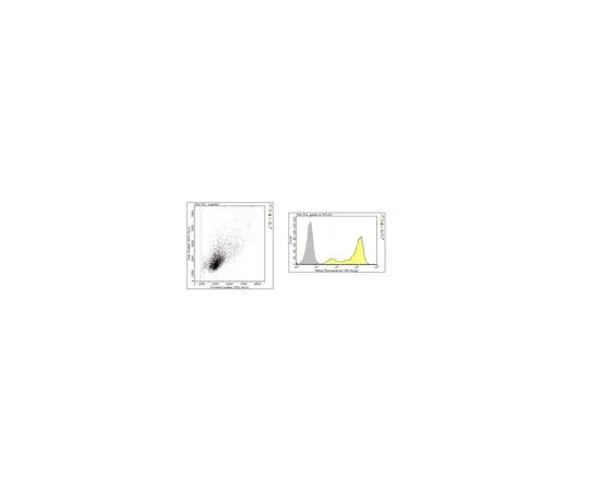 62-8513-12 Anti-Rabies Virus Antibody, clone 1112-1 MABF949