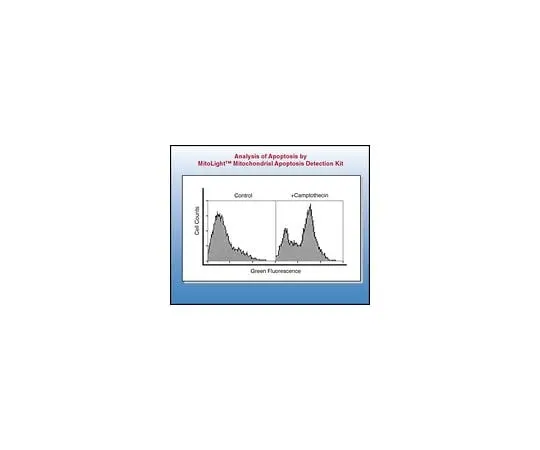 62-8477-77 MitoLight(R) Mitochondrial Apoptosis Detection Kit; 25 assays APT142
