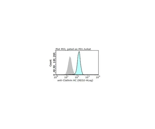 62-8502-41 Anti-Clathrin Heavy Chain Antibody, clone 6F10.1 MABC580
