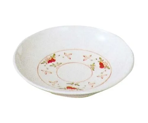 61-6834-39 Melamine Japanese tableware Akae round Plate small AK-14 2116600