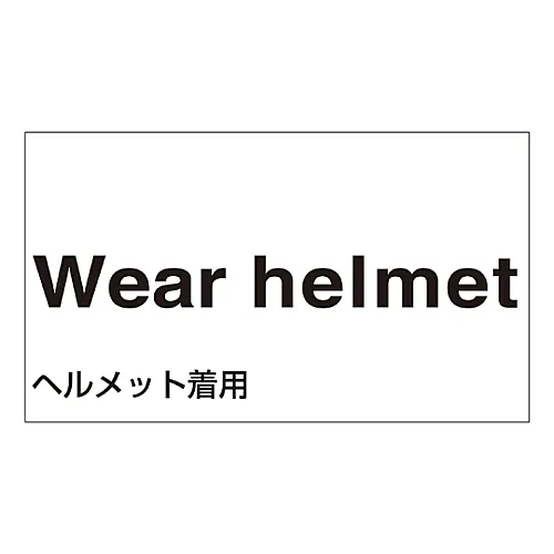61-3412-99　［Discontinued］Foreign Language Sticker Wear Helmet GK-2 E (English)　99102