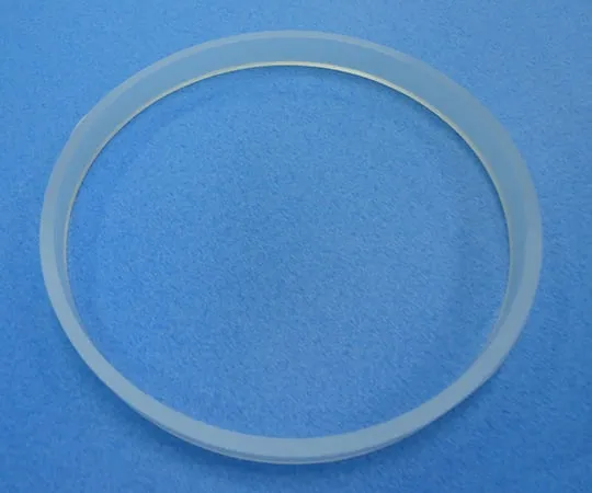 62-2990-76 O-Ring for Gloves of Glove Box 3812*0