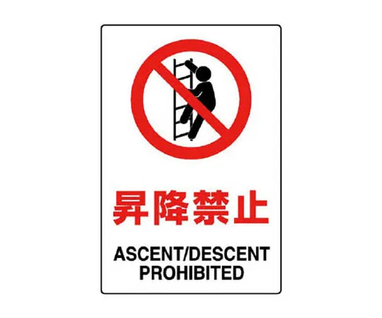 62-0090-84　［Discontinued］Foamed Double-Sided Tape, Foamed Polyethylene 50 mm Width x 10 m Roll　802122