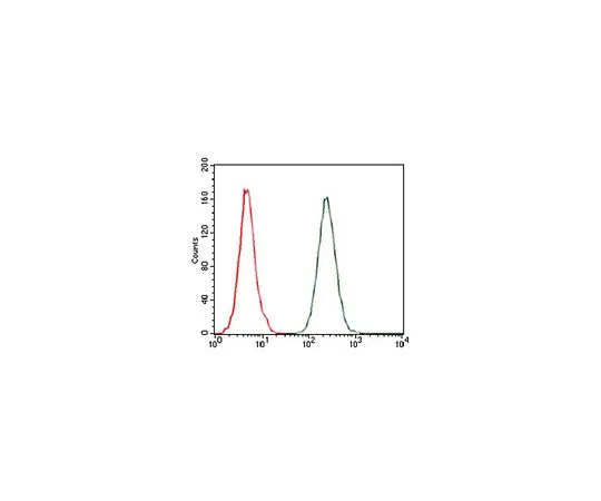 62-8519-29 Anti-CCL2, clone 2D8 MABN712