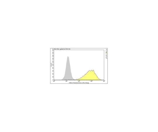 62-8509-42 Anti-TIM-1 Antibody, clone 3B3 MABF245