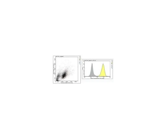 62-8525-06 Anti-TfR1 Antibody, clone 3B82A1 MABS1982