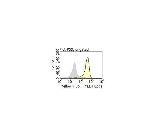 62-8492-73 Anti-Integrin α5β1 Antibody, clone BMA5 MAB1984-I