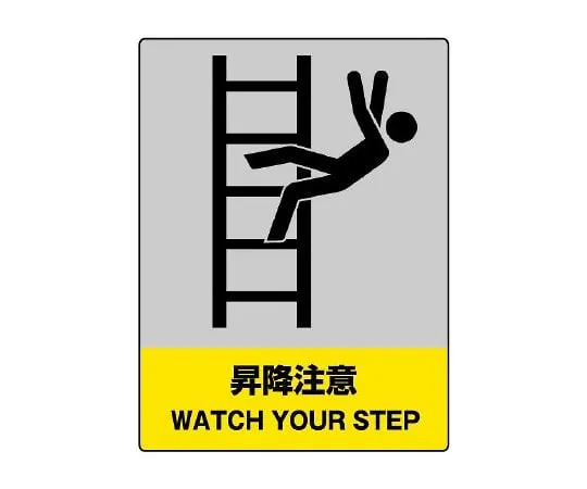 62-6098-05 JISHA Safety Mark Lifting Caution 800-42