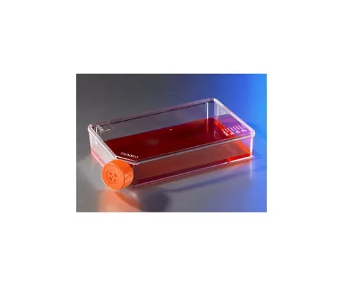 61-4689-68　［Discontinued］Low Profile Flask 100cm2 Vent Cap, Cell Cultivated Surface Treatment Processed　3816