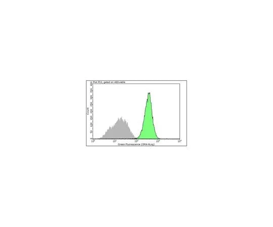 62-8493-50 Anti-Integrin beta1, clone 12G10 MAB2247-I