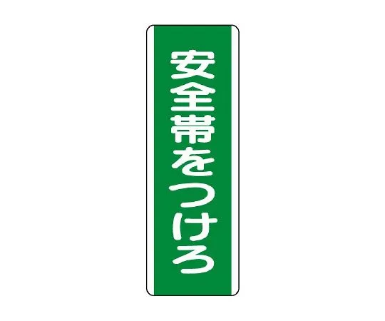 62-6135-87 Strip Sign. Put a safety belt on. 811-10