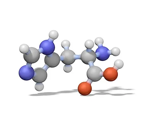 61-0321-12 Chromolith(R) DIOL 5-4.6 guard columns (3 Pieces) 153175 1ST 1.53175.0001