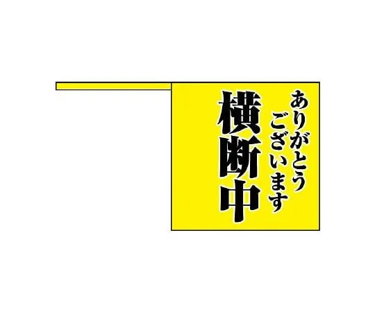 62-6105-79 Thank you for the crossing flag. Crossing. 832-04