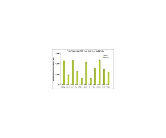 62-8538-56 MILLIPLEX MAP Total Akt/mTOR Profiler Magnetic Bead 11-Plex Kit; 1 kit 48-612MAG