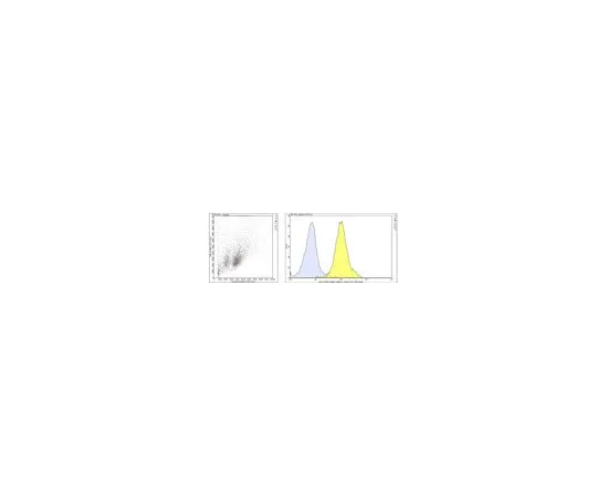 62-8513-13 Anti-Integrin alpha-4 (CD49d) Antibody, clone TA-2 MABF950