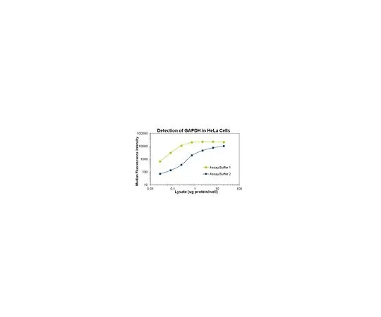 62-8538-26 MILLIPLEX MAP GAPDH Total Magnetic Bead MAPmate 46-667MAG
