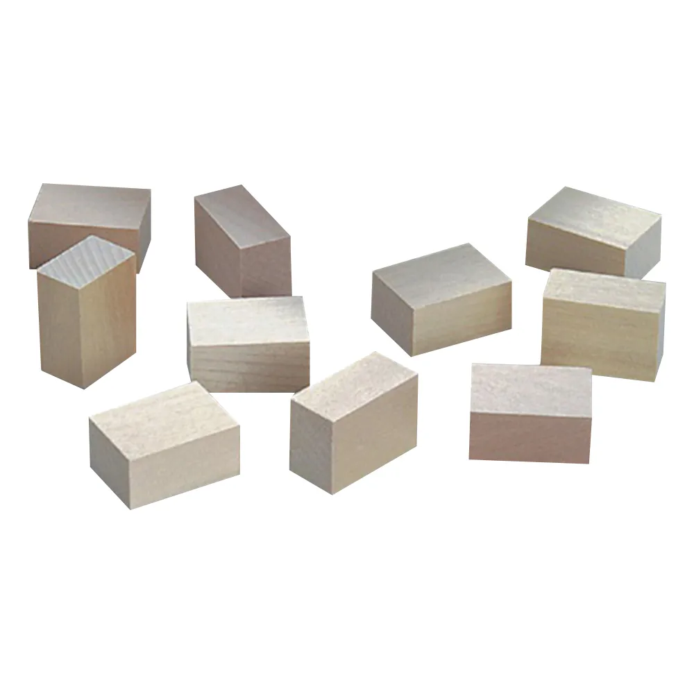 2-173-01 Wooden Block for Paraffin Large 100 Pcs