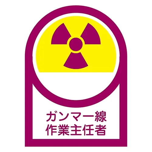 61-3381-97　［Discontinued］Sticker For Helmet Gamma Ray Operation Chief HL-66　233066
