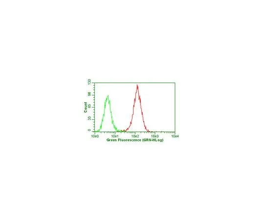 62-8492-50 Anti-Integrin alphaVbeta5, clone P1F6; 100 μg MAB1961