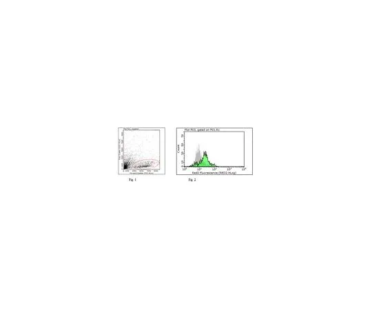 62-8509-44 Anti-Tapasin Antibody, clone 7F6 Cat. No. MABF249 MABF249