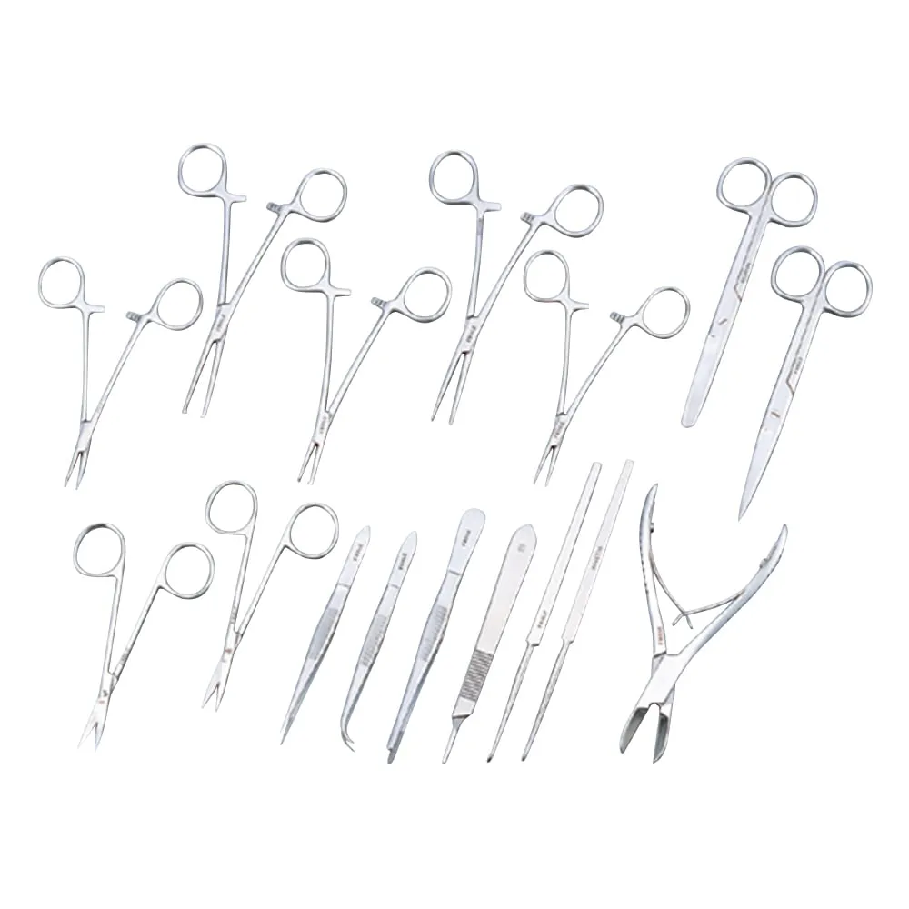 1-8278-01 Small Animal Anatomical Set Large Set Of 16