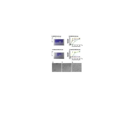 62-8481-94 ECM Cell Culture Optimization Array (Colorimetric, 48-Wells) ECM542