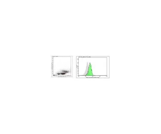62-8509-35 Anti-AIRE, clone Mab155 MABF235