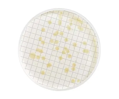 61-0202-25 Milliflex Cassette W/Heterotrophic Plate Count Agar 48/Pk 48 x 1ST MXSMHPC48