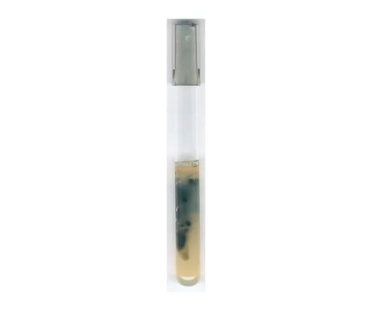 61-0204-44 Iron Sulfite Agar Basal Medium for Microbiology 110864 500G 1.10864.0500