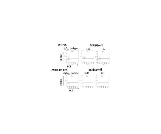 62-8513-29 Anti-CCRL2 (Mo***) Antibody, clone BZ2E3 MABF1033