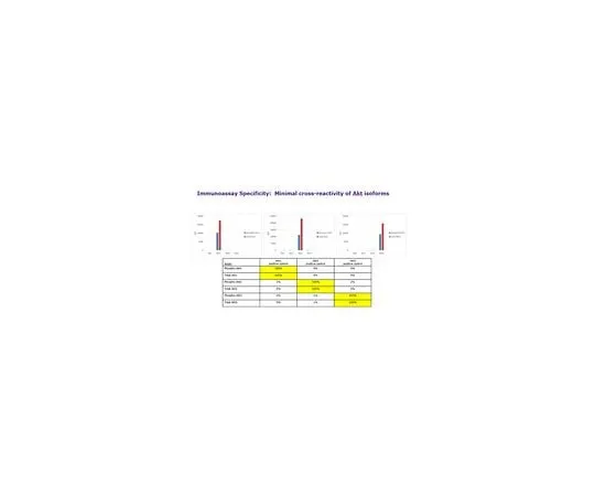 62-8538-69 MILLIPLEX MAP Total/Phospho Akt2 2-Plex Panel, 48-632MAG 48-632MAG