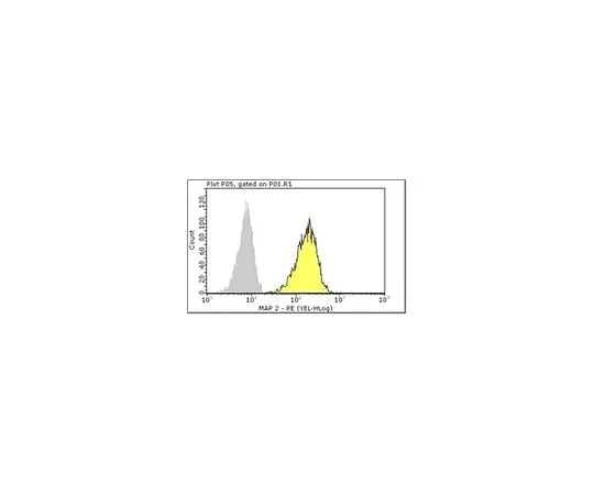 62-8485-10 Milli-Mark(TM) Anti-MAP2-PE, clone AP20; 100 tests FCMAB318PE