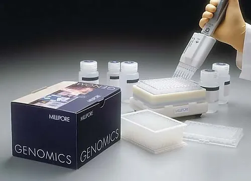 61-0209-03 Plasmid Miniprep-96 Kit W/4 x 96 Minipreps 1SET LSKP09604