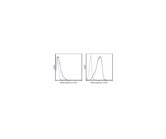 62-8510-99 Anti-CD86 (B7-2) (mo***), FITC, clone GL-1 MABF457