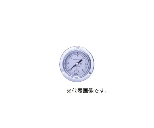 67-4838-10 HNT Pressure Gauge - General (Front Flange) DU1/4-60:1.6MPA 0354-01-0018345