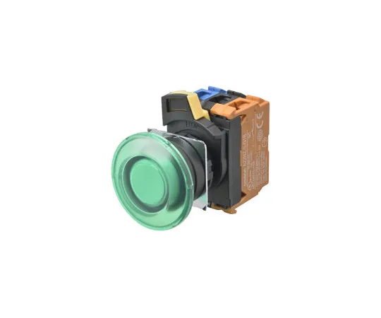 62-4166-55 Switch A22NL-BMA-TWA-G100-WC