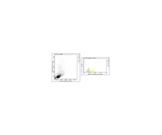 62-8480-12 Anti-PECAM-1 Antibody, clone 390 CBL1337-I