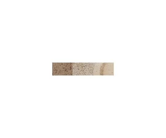 62-8468-51 Anti-APP585C ABN1641